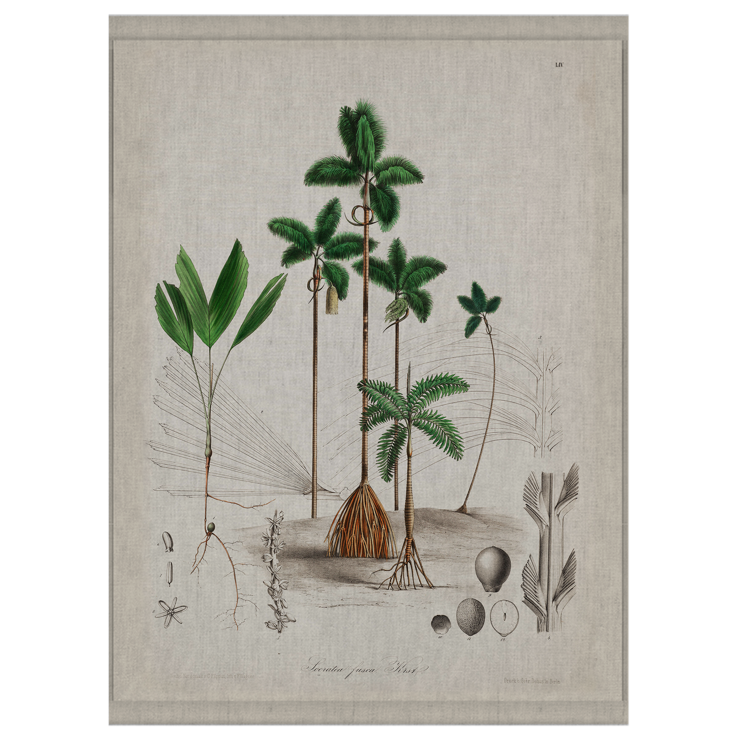 Scripts | Wall Hanging