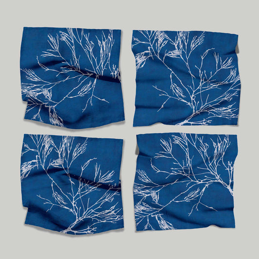 Cyanotype | Napkins