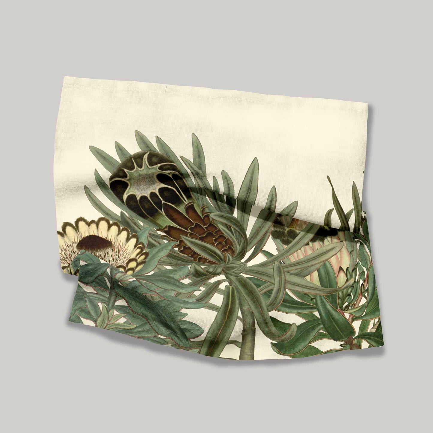 Sugarbird Protea | Napkins