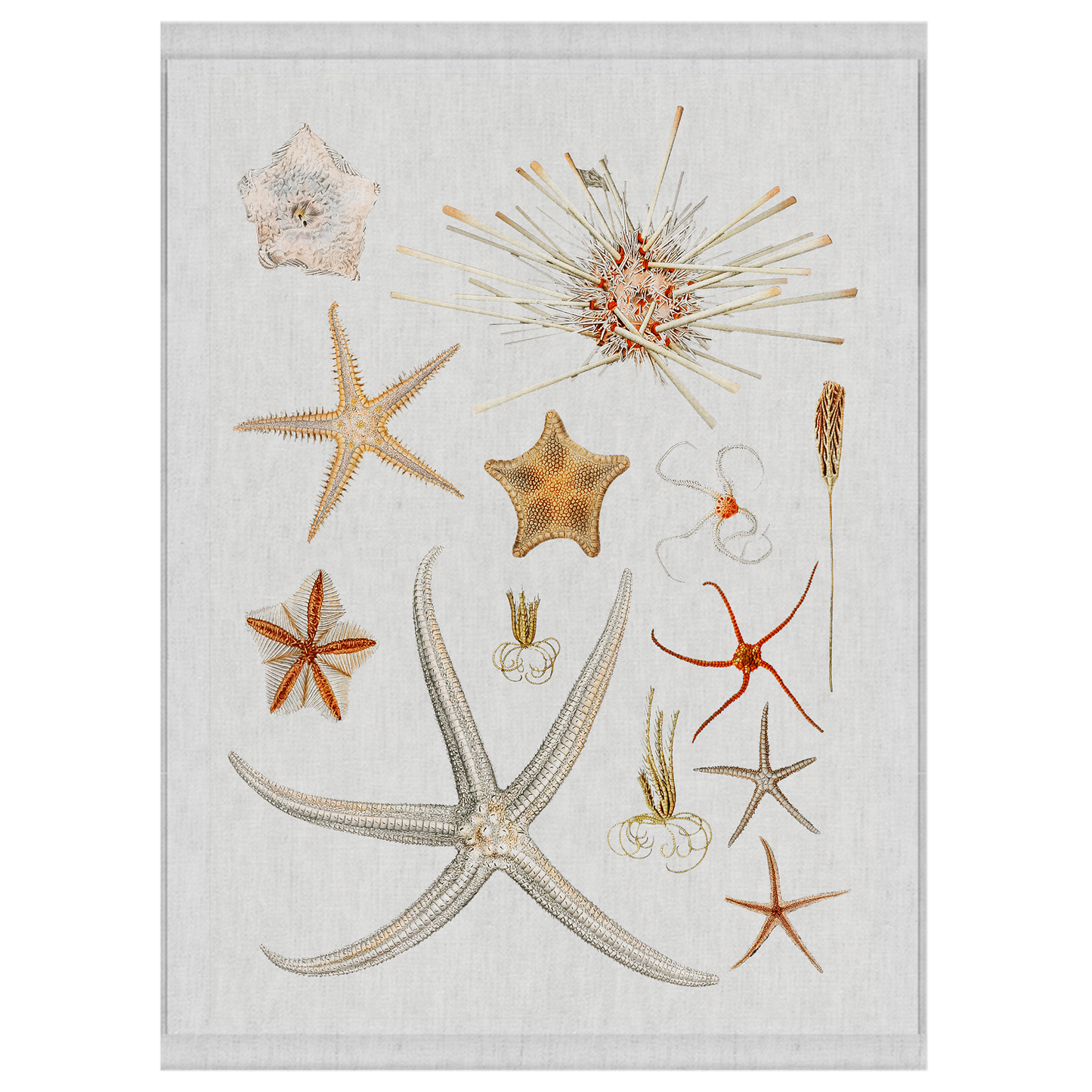 Stars In The Sky | Wall Hanging